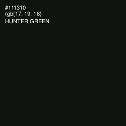 #111310 - Hunter Green Color Image